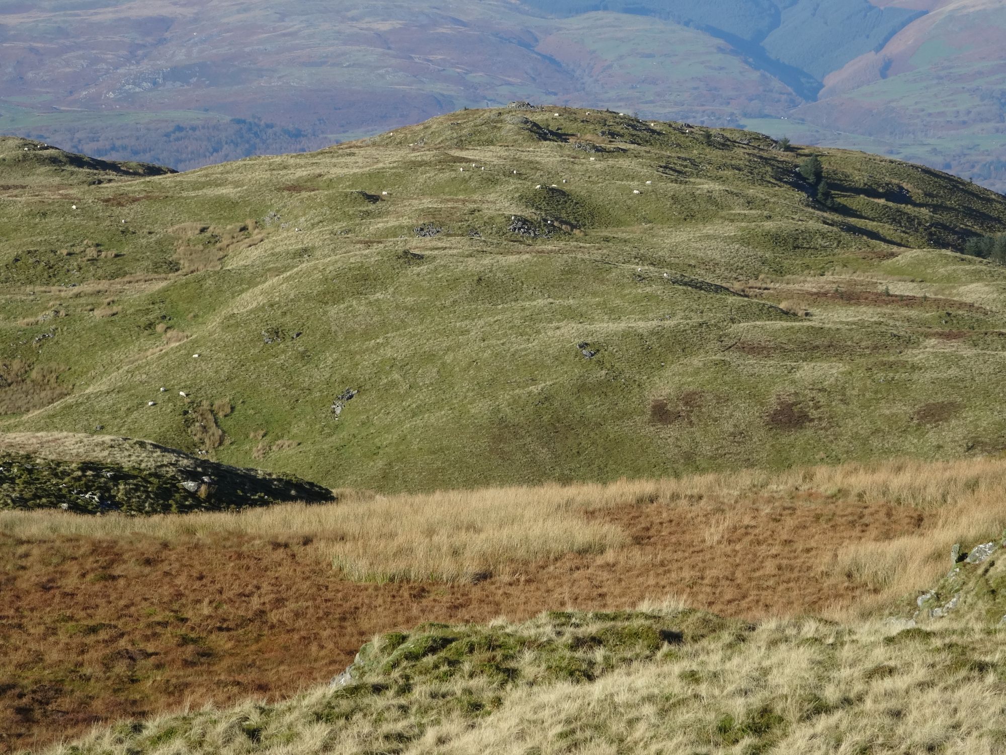 RachelSeabrook.net | Wild Walking | Moel y Llyn | pic23